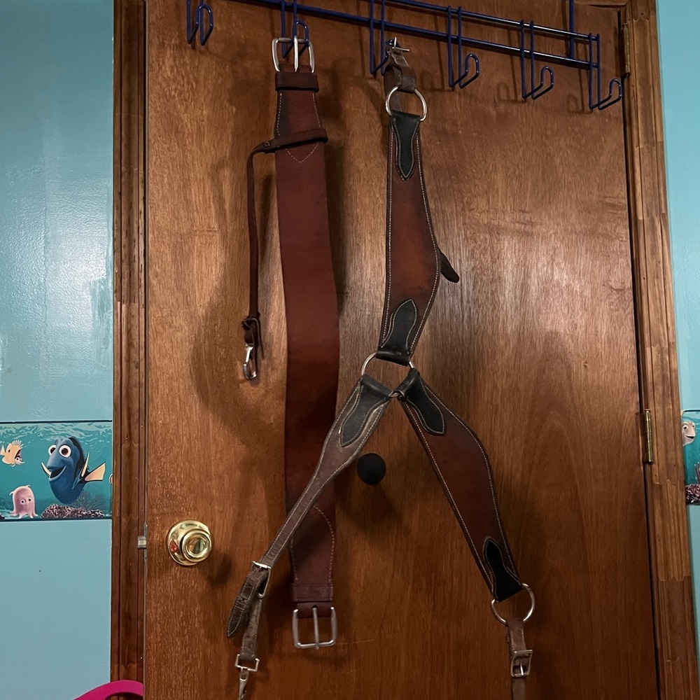 Breast Collar and Back Cinch